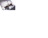 nitro-team-pro-mk-delis