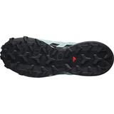 salomon-apavi-speedcross-6-gtx-w-light-green-black