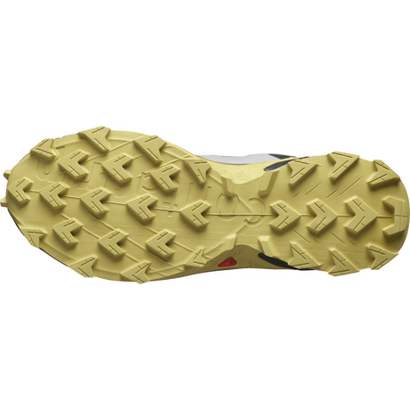 salomon-apavi-supercross-4-gtx-grey-brown