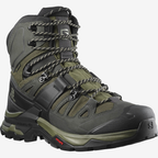 SALOMON Quest 4 GTX green/black shoes