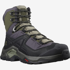 SALOMON Quest Element GTX black/deep lichen green/olive night shoes