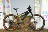 Wilde Dark Star - MTB Hardtail (Frame Only)