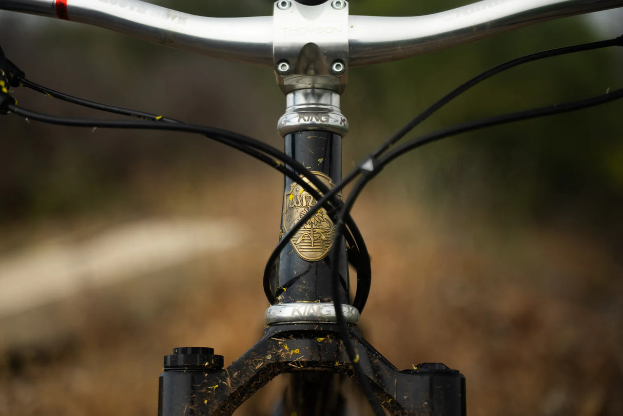 Wilde Dark Star - MTB Hardtail (Frame Only)