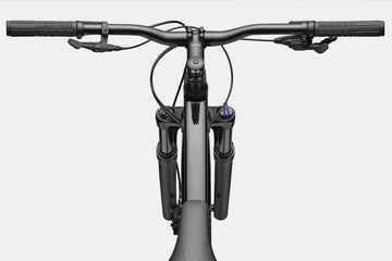 Cannondale Trail 1