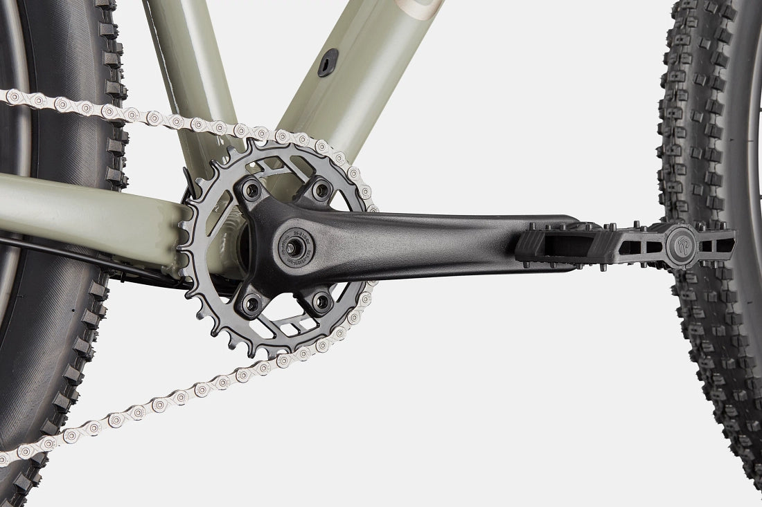 Cannondale Trail 1