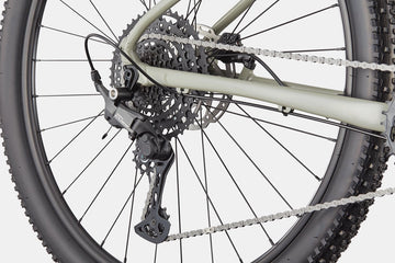 Cannondale Trail 1