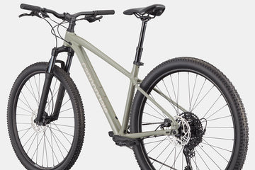 Cannondale Trail 1