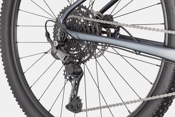 Cannondale Trail 1