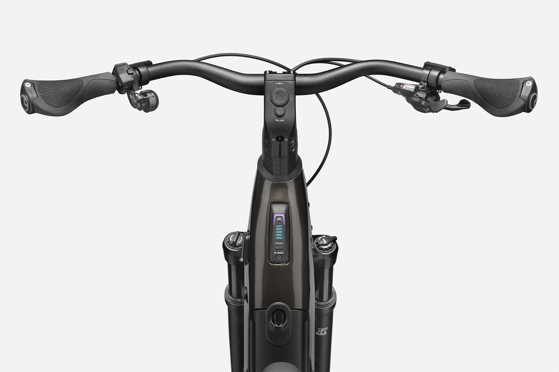 Cannondale Tesoro 2 Low Step-Thru