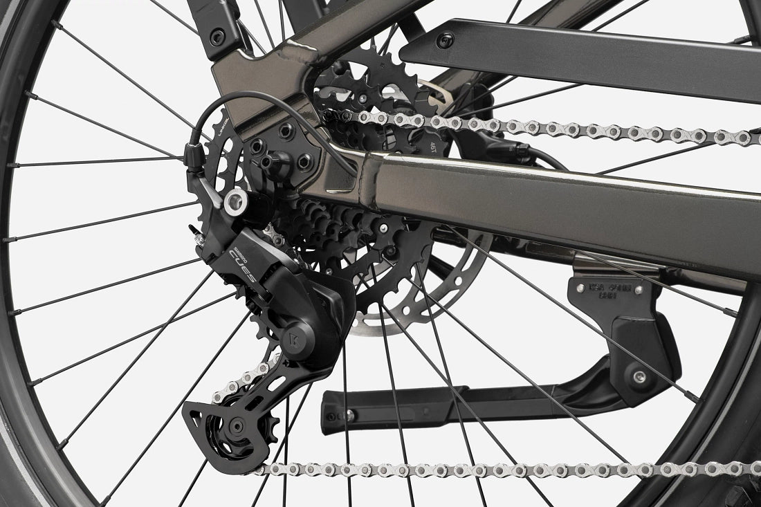 Cannondale Tesoro 2 Low Step-Thru