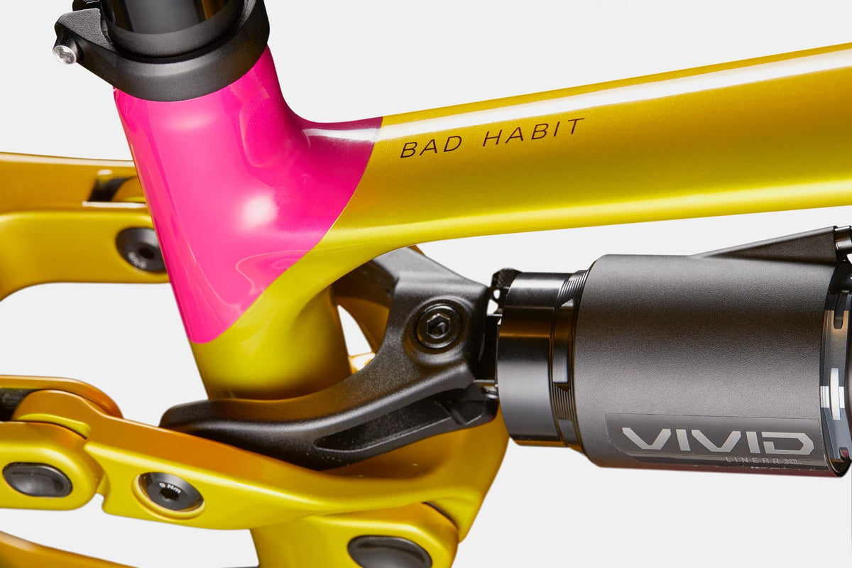 Cannondale Bad Habit 2