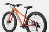 Cannondale Kids Trail Plus 24