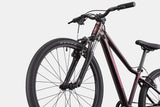 Cannondale Kids Trail 24 C1