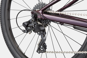 Cannondale Kids Trail 24 C1