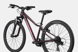 Cannondale Kids Trail 24 C1