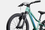 Cannondale Kids Trail 20 C2