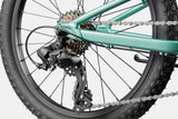 Cannondale Kids Trail 20 C2