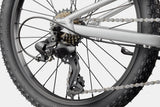 Cannondale Kids Trail 20 C2
