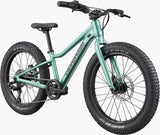 Cannondale Kids Trail Plus 20