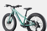 Cannondale Kids Trail Plus 20