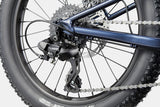 Cannondale Kids Trail Plus 20
