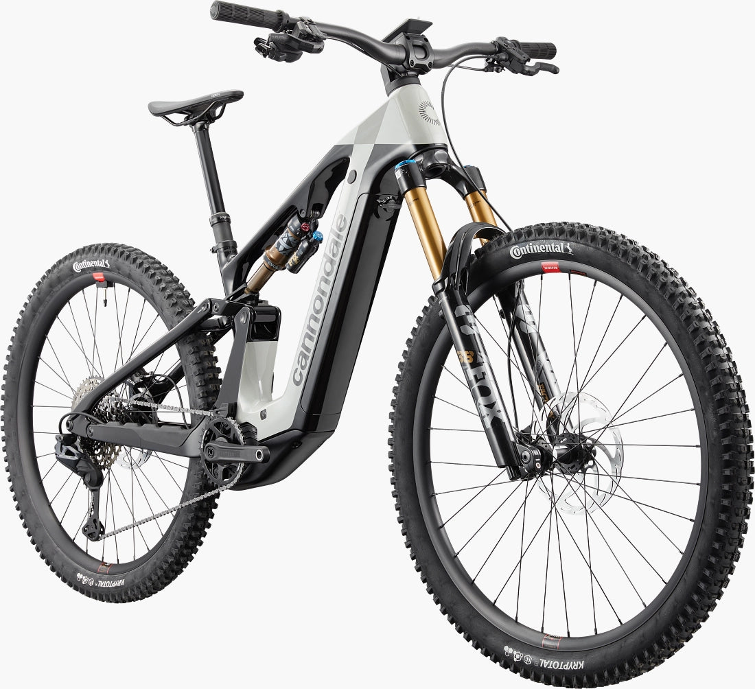 Cannondale Moterra 1