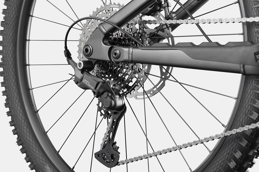 Cannondale Moterra 4+