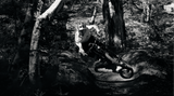 Santa Cruz Nomad 6 C MX 90 - 2026