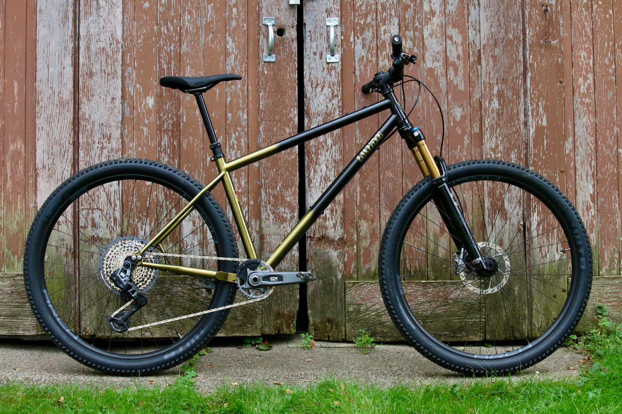 Wilde Dark Star - MTB Hardtail (Frame Only)