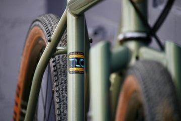Wilde Rambler Frameset - Gravel / All-Arounder / Sage Green Shimmer