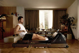 KingSmith WalkingPad WR20 Rowing Trainer