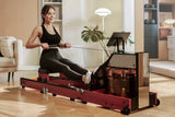 KingSmith WalkingPad WM10 Rowing Trainer