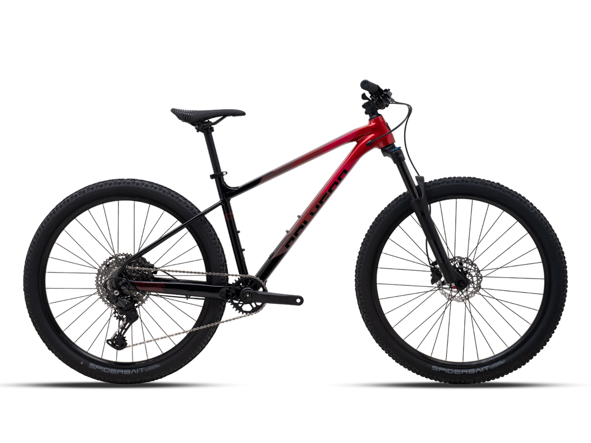 Polygon Xtrada 6