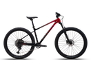 Polygon Xtrada 6