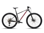 Polygon Xtrada 6