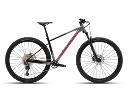 Polygon Xtrada 6