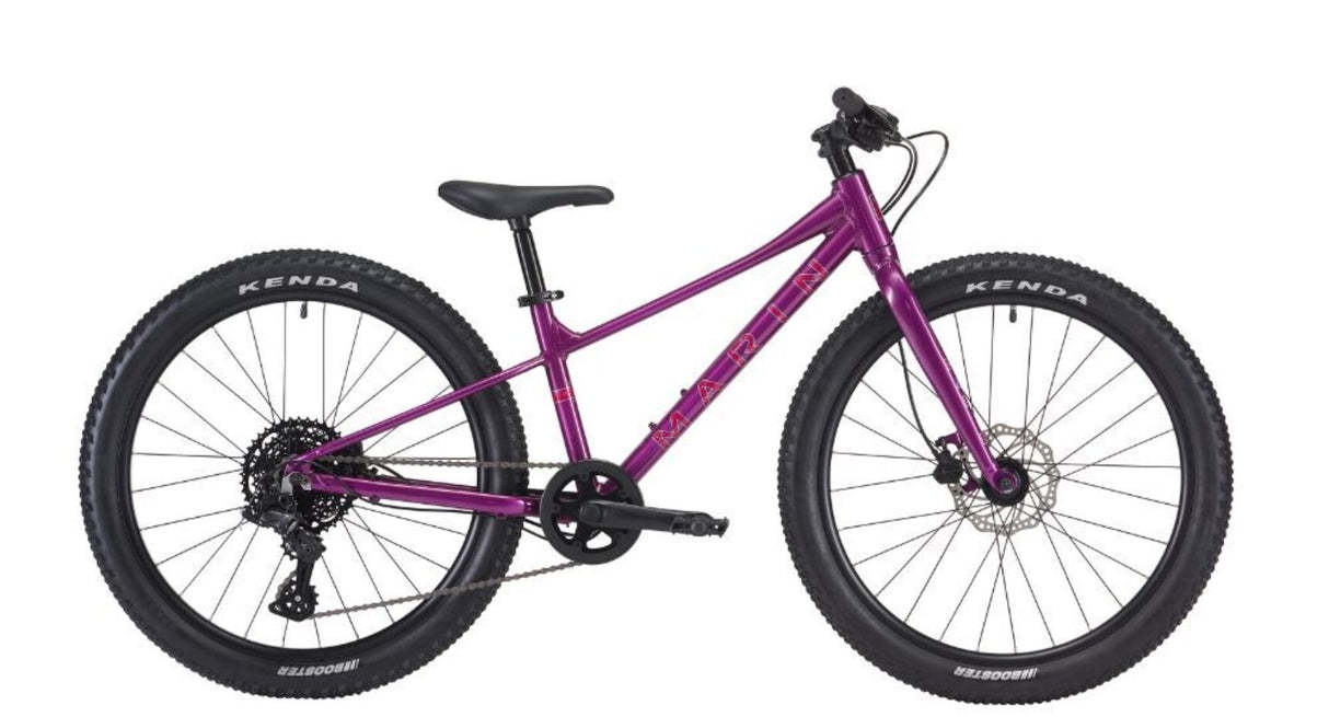Marin Bear Valley 24" - 2025