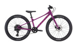 Marin Bear Valley 24" - 2025