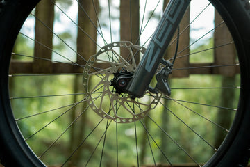 Polygon Collosus N7 - Simple Bike Store