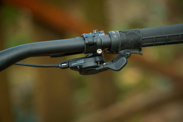 Polygon Collosus N7 - Simple Bike Store