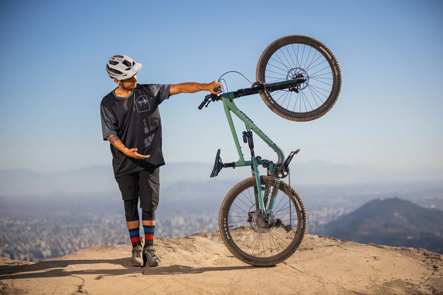 Polygon Collosus N7 - Simple Bike Store