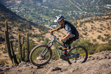 Polygon Collosus N7 - Simple Bike Store