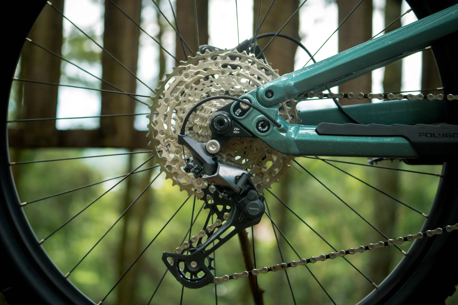 Polygon Collosus N7 - Simple Bike Store