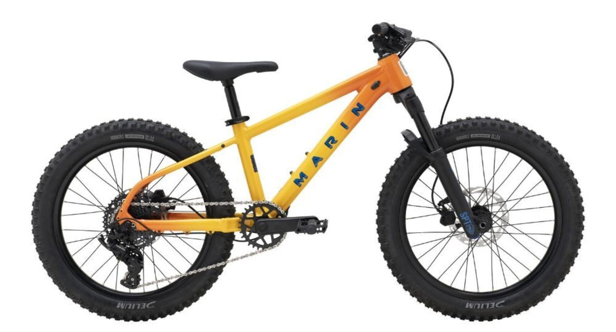 Marin San Quentin Jr - 2025