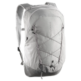 SALOMON backpack XT 25 grey