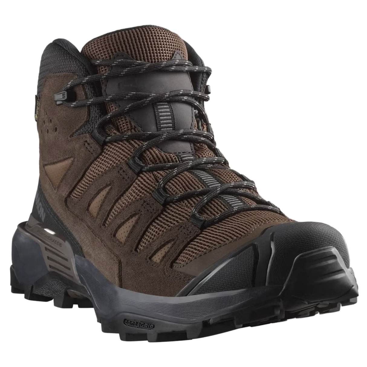 SALOMON shoes X Ultra 360 LTR Mid GTX dark earth/delicioso/castlerock