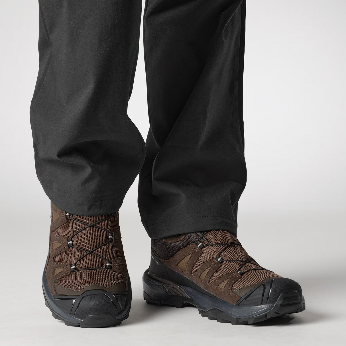 SALOMON shoes X Ultra 360 LTR GTX dark earth/delicioso/sharkskin
