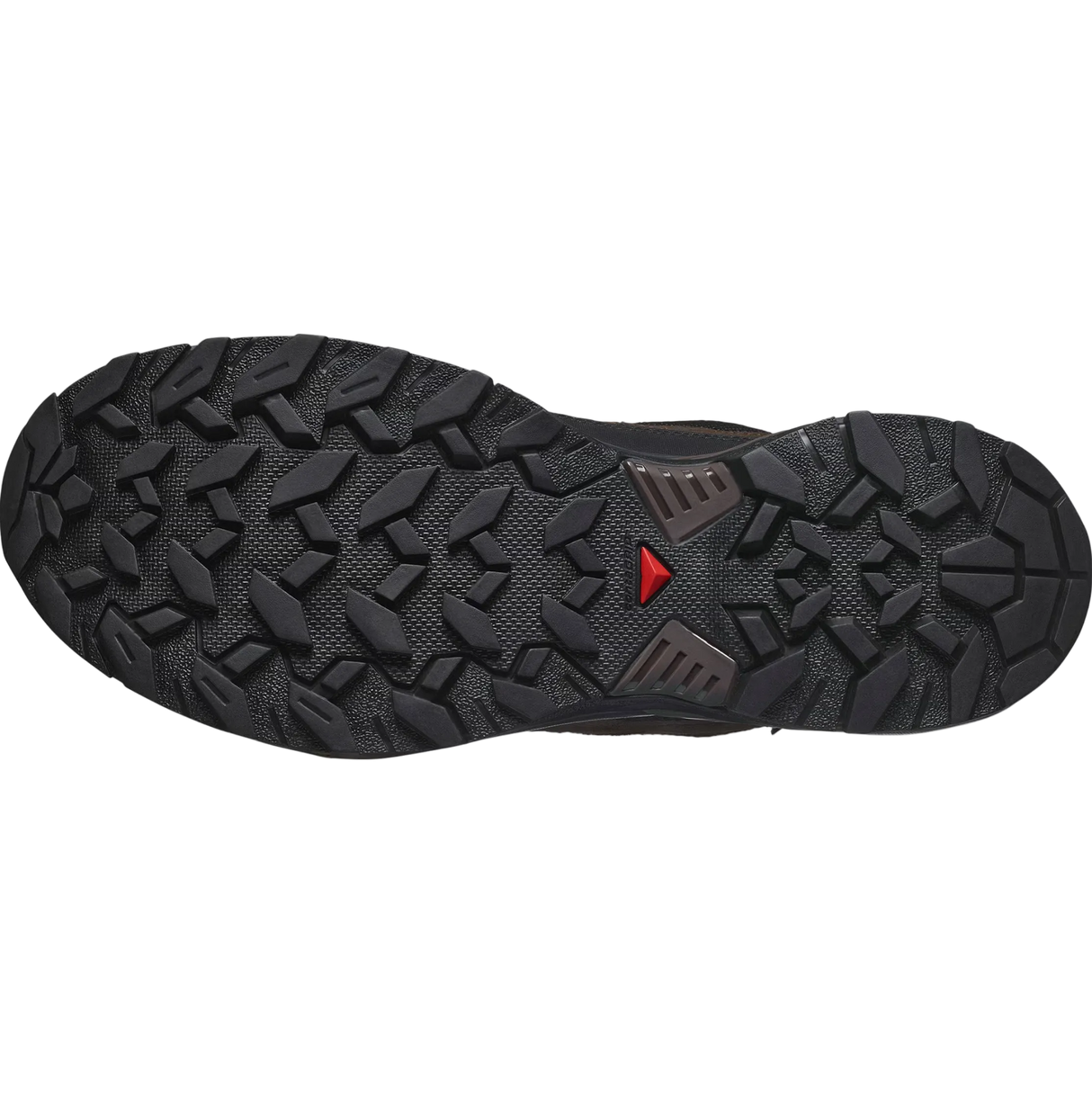 SALOMON shoes X Ultra 360 LTR GTX dark earth/delicioso/sharkskin