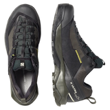 SALOMON shoes X Ultra Alpine GTX black/peat/aspargus green