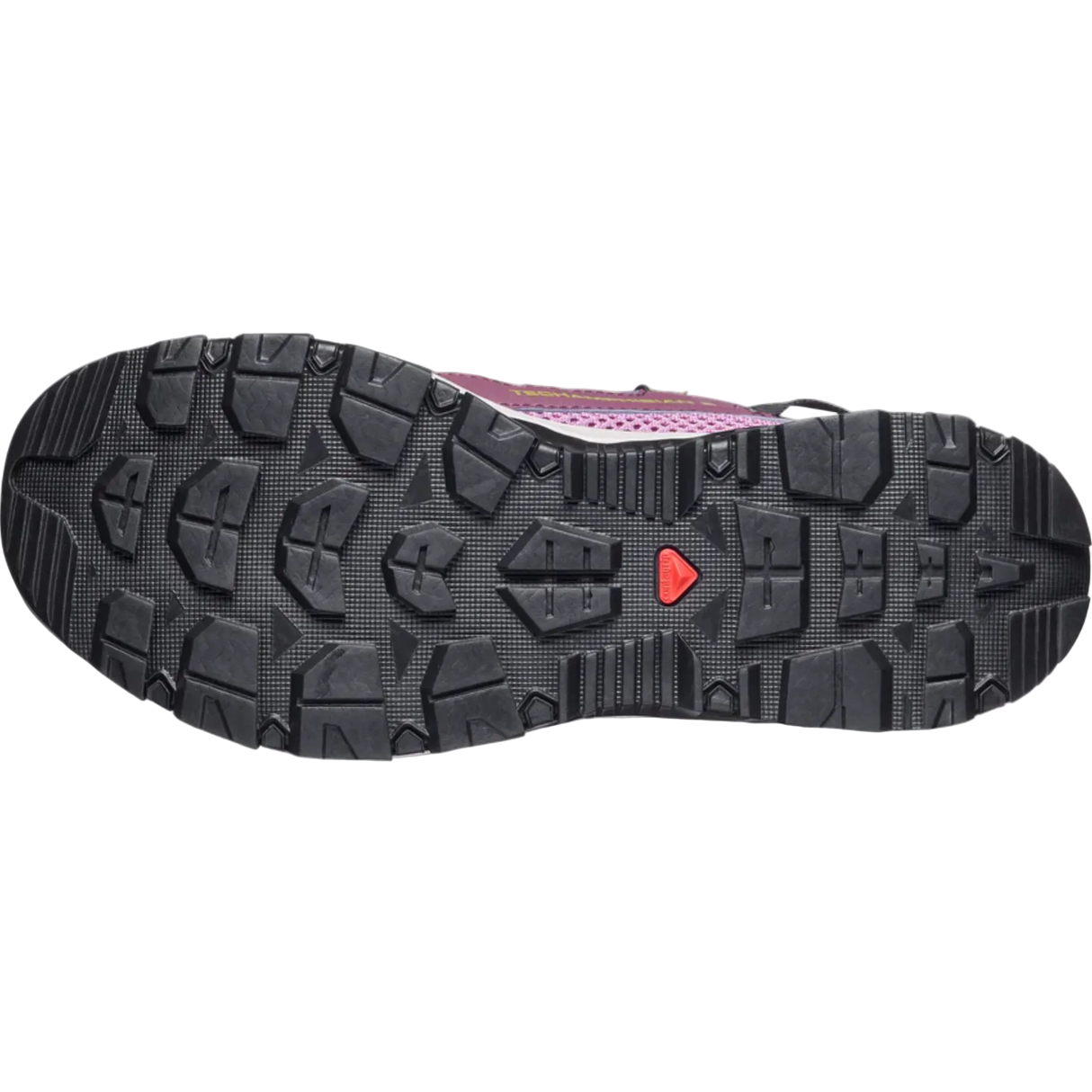 SALOMON shoes Techamphibian 5 W dusky orchid/huckleberry/willow